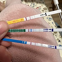 本人是多囊患者，近期突然感冒，抽风的测了试纸条，这是怀了吗？好紧张啊！
