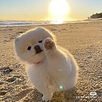 今天跟老公说后面约着一起去医院抽血 检查下hcg 希望顺利！