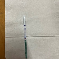 越看越像是有了，不会真的怀孕了吧😵帮忙看一下是不是怀孕了