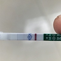 17号下午打的破卵针什么时候可以代谢完