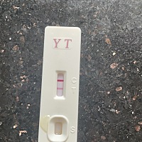 这是已经怀上了吗