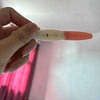 上个月11号生化了 都说生化后更好怀 现在还是一点症状都没有 这个图是上次的，所以生化后真的好好怀吗�...