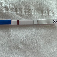 这次多了几分淡定 但是还是忍不住的测试.后天就姨妈期了还有机会翻盘吗？我的宝宝会回来找我了吗？