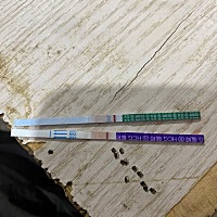这应该不是有了吧