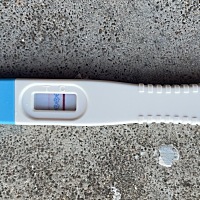 自己都不是很确定