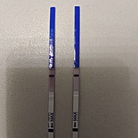 想知道这是否怀孕了？