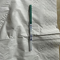 这是怀了吗