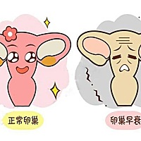 通常有些姐妹们发现月经量减少，或持续一段时间都是偏少的，于是就开始慌了，想着自己还年轻呀，怎么就...