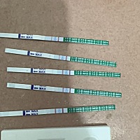 推迟九天，然后第九天的时候我测出来有两杆，是怀了吗？亲帮忙看一下