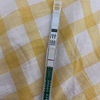 这是有还是没有呢