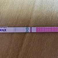 今天早上测的，请问是怀了吗