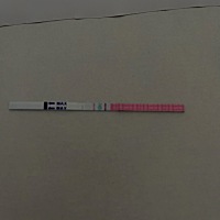 我是7月20号来的月经26号完的，8月1号安排的排卵试纸，宝妈们提个建议。￼￼是不是在排卵期阶段。￼