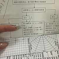 从来没有想过生个两个孩子的我 居然为了二婚老公走向试管之路。今天开始试管前检查空腹抽了13管血，抽的...
