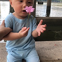 人家的儿子14个月还在喂奶，我的差不多5个月就戒奶，觉得自己真快戒奶，不过也没办法，想要给你更好的。...