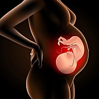 子宫内膜厚度与生zhi和内分泌密切相关。正常妊娠情况下，子宫内膜是受jing卵着床的地方， 过薄过厚都不...