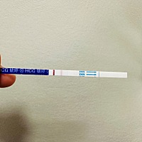 这是怀了嘛？？？排卵期的时候和老公隔天做一次，算着来大姨妈的时间测了很多次都是一条杠，想着不怀就...