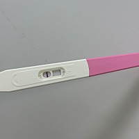 三胎备孕第二个月。今天是排卵后的第十天了。孕橙检测大白板 这次估计真的没戏了。上个月8号来的姨妈，...