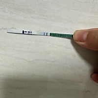 排卵到现在已经有十一天了 还是没有测到双杠 心如死灰了 还有翻盘的机会？