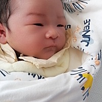 接男宝的来了