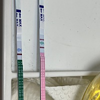 姨妈推迟3天（虽然平时也不准推迟）但排卵试纸之前已经转弱过了…这又强阳？什么情况啊😳zzy也测了没...