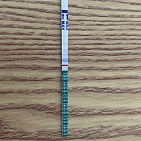 今天刚测的，第一次出现了！又怕自己眼花了，是不是两道杠。