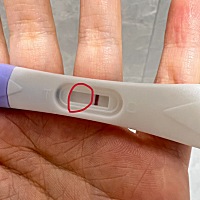 备孕第二个月