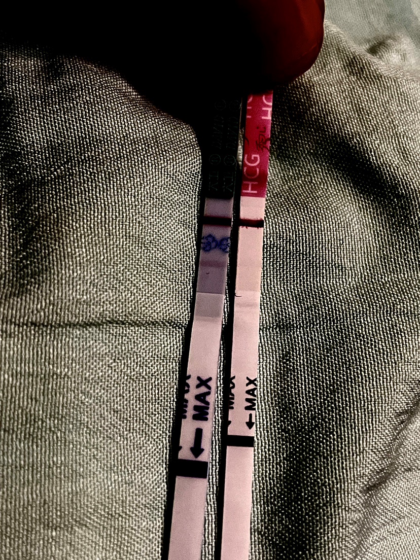 这两张是放了一会调了个色。