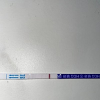 这是有还是没有啊，末次月经10月21号，11月21号有少量月经，但是和以前的月经状态不太一样，今早晨尿测...