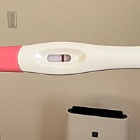 备孕二胎一年零四个月🙏