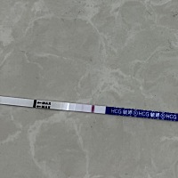 成功啦！我的龙宝宝！