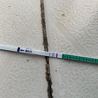 月经前一天测试的 也不知道这样算怀上了吗 #祝好孕