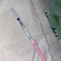 这是什么意思