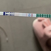 备孕三个月，成功上岸，大姨妈才推迟两天就测出来怀孕，是不是属于上身早，现在是二胎，头胎是闺女。二...