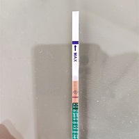 是水印吗？？？