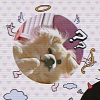 姨妈期心情低落谁懂啊…🙍‍♀️