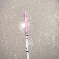 12.25 来的月经今天1.25晚上00:30 测的 是怀孕了吗还是…… 1月12-15 同房，1月20 日同房 有没有可能性 ...