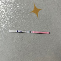 姐妹们这是排卵了吗？