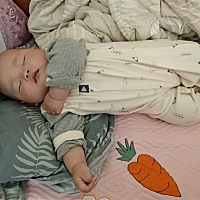 夜里会自己翻身侧睡了，白天自主翻了一个身，这两天三点动来动去没有哭闹和睁眼就没夜奶也能睡到六点了[...