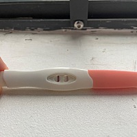 因为月经推迟，早上起来测的结果，这算是怀了么？但之前没忌口，螃蟹吃了很多，降火凉茶也喝了不少，还...