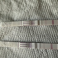 急急急，这是有了吗？ 急急急