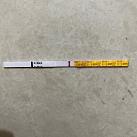 这应该是没有吧？