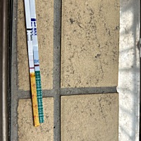 早早孕纸白板~排卵试纸一直一深一浅的~都不知道有没怀上~好急啊