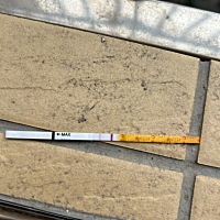 一直测排有有怎么两条杠的不知道有没有跟我一样…有没怀上