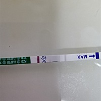 谁能帮忙看看的，姨妈好几个月不来，但是近一个月才跟对象同房，这应该是我的幻觉吧，有谁懂的 （我对象...
