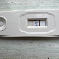 有人知道这是怀孕了吗