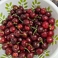 身高62厘米体重14斤