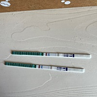 末次月经3.22，仍然是白板还有没有希望