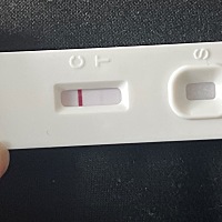 姐妹们这是怀了吗