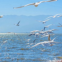 算了，劝自己想开点吧，孩子是缘分，该来的时候他自然会来，如果他不想再来了，我也没法强求，也许她是...