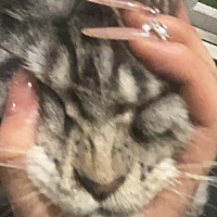我男朋友的妈妈有恋子癖，她喜欢我男朋友用过的任何东西，喝水要用他的杯子，吃饭要用他之前一直在公司...